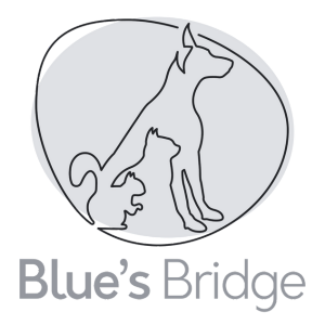 Blues Bridge